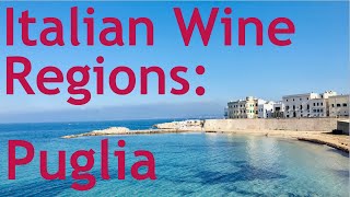 Italian Wine Regions  Puglia [upl. by Hillard556]