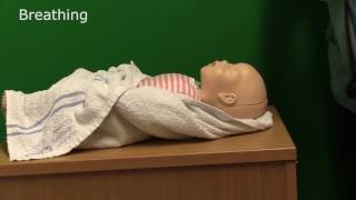 Neonatal Resuscitation  Demonstration [upl. by Reinaldo416]