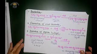 Peptide synthesis [upl. by Kerns956]