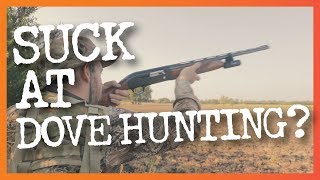 8 Common Dove Hunting Mistakes amp How to Fix Them [upl. by Sineray]