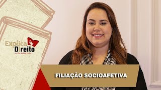 Explica Direito Filiação Socioafetiva  2019 [upl. by Ddal760]