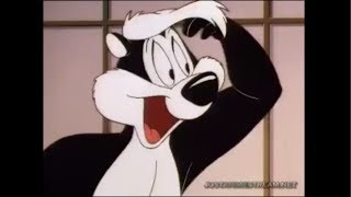 Pepe Le Pews Cousin Pitu Le Pew [upl. by Nauqyt]