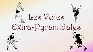 Neurofacile 8  Les voies extrapyramidales [upl. by Tibbs]