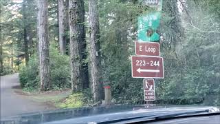 Campground Review Jessie Honeyman Memorial State Park Florence Oregon [upl. by Atekin]