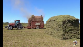 Stacking Hay in South Dakota HESSTON STAKHAND [upl. by Bertila]