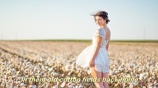 Cotton Fields 1969  CREEDENCE CLEARWATER REVIVAL CCR  Lyrics [upl. by Airemat]