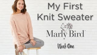 BEGINNER My First Knit Sweater  Week 1 [upl. by Oht]