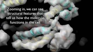 A 3 minute introduction to CryoEM [upl. by Aihsetan]