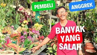 TIPS MERAWAT ANGGREK UNTUK PEMULA [upl. by Tapes]