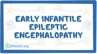 Dee Educational Videos on Developmental and Epileptic Encephalopathy DEE [upl. by Shaeffer554]