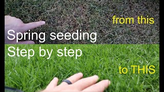 How to GROW GRASS in the SPRING successfully step by step [upl. by Letizia834]