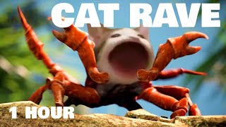 Cat Rave  1 HOUR [upl. by Intyre]