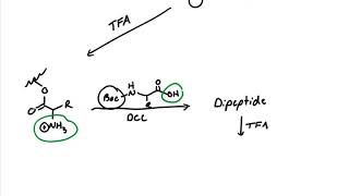 Introduction to Solid Phase Peptide Synthesis [upl. by Chet]