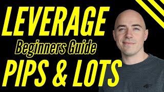 Forex Leverage for Beginners Explained lot sizes and pips [upl. by Ijies2]