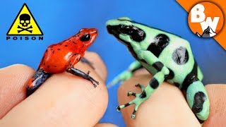 Which Poison Frog Can Kill You [upl. by Essila]