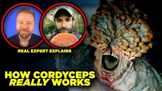 The Last of Us CORDYCEPS Myths DEBUNKED By Real Fungus Expert [upl. by Nelyt912]