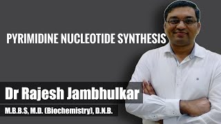 Pyrimidine nucleotide synthesis and degradation [upl. by Ardnuaed265]