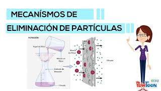 Proceso de Filtración de aguas residuales [upl. by Wills882]