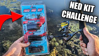 ZMan Ned Rig Kit Fishing Challenge Easy For Beginners [upl. by Howie]