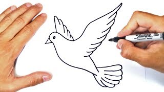 How to draw a Dove Step by Step  Dove Drawing Lesson [upl. by Merta879]