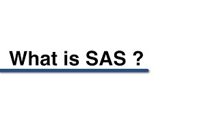 What is SAS [upl. by Nahsor]