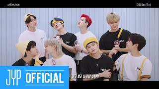 Stray Kids quot미친 놈 Exquot Feat STAY Guide Video [upl. by Ibob]