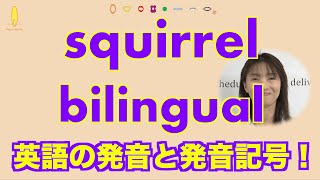 リスの英語の読み方『squirrel』RとLがポイント 英語の発音No392 [upl. by Allehcram852]