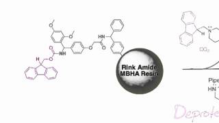 Fmoc Solid Phase Peptide Synthesis [upl. by Ivanah626]