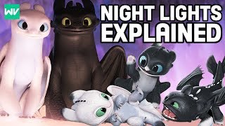 Who Are Toothless amp The Light Furys Children Night Lights  How To Train Your Dragon [upl. by Nitsirt]