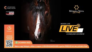 II Live Morada Nova 30 Anos [upl. by Ruthann445]