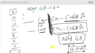 Lipid metabolism  Lec2  Beta oxidation [upl. by Mccollum]