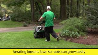 Tall Fescue Overseeding [upl. by Hnahc]