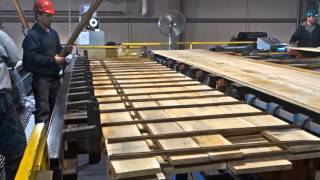 TS Lumber Stacker Systems Overview [upl. by Aseen]