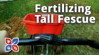 Do My Own Lawn Care  Fertilizing Tall Fescue Grass  Ep30 [upl. by Eldreeda]