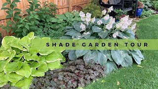 Shade Garden Tour  Edgy Gardener [upl. by Nels]