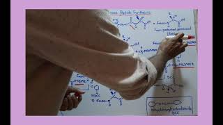 Merrifield Solid Phase Peptide Synthesis [upl. by Megargee964]