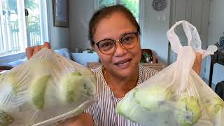 QUICK AND EASY Recipe of Burong Mangga [upl. by Euqinad]