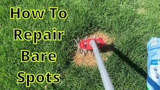 How To Repair Bare Spots in Tall Fescue [upl. by Mackler]