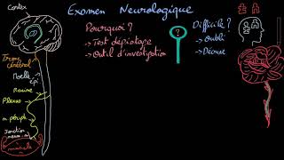 Examen neurologique  Introduction  Docteur Synapse [upl. by Carie]