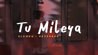 Tu Mileya  Darshan Raval  Slowed Reverbed Lofi Version [upl. by Bega563]