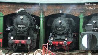 EisenbahnFest Staßfurt 12  Steam Train  Züge [upl. by Winson]