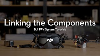 DJI FPV System  How to Link the Components [upl. by Stanzel905]