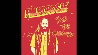 Alborosie  For The Culture Official Audio [upl. by Heisel]