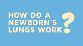 How Do A Newborns Lungs Work [upl. by Eibocaj]