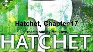 Hatchet by Gary Paulsen Chapter 17 [upl. by Neurath721]