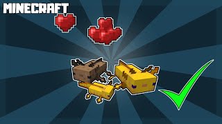 MINECRAFT  How to Breed AXOLOTL 117 [upl. by Seena]