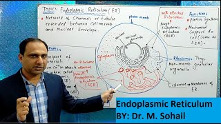 Endoplasmic Reticulum [upl. by Jun894]