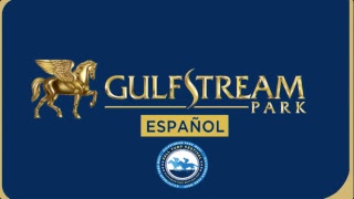 Gulfstream Park Live Stream [upl. by Ensoll]