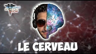 ANATOMIE  LE CERVEAU 🧠 [upl. by Gladi]