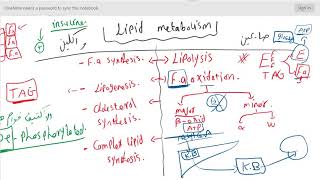 Lipid metabolism  Lec1  introduction [upl. by Alarick420]